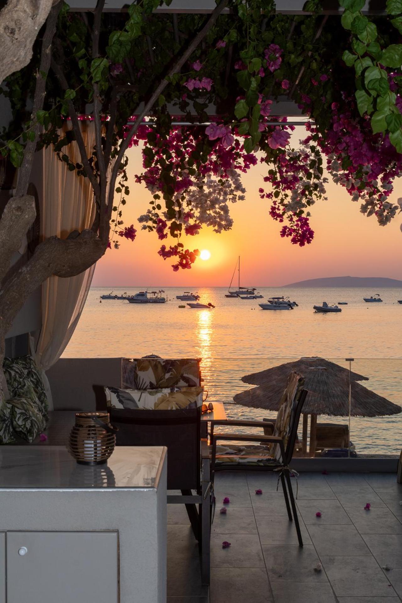 Buganvilla-Sea Front Villas Агия-Пелагия  Экстерьер фото